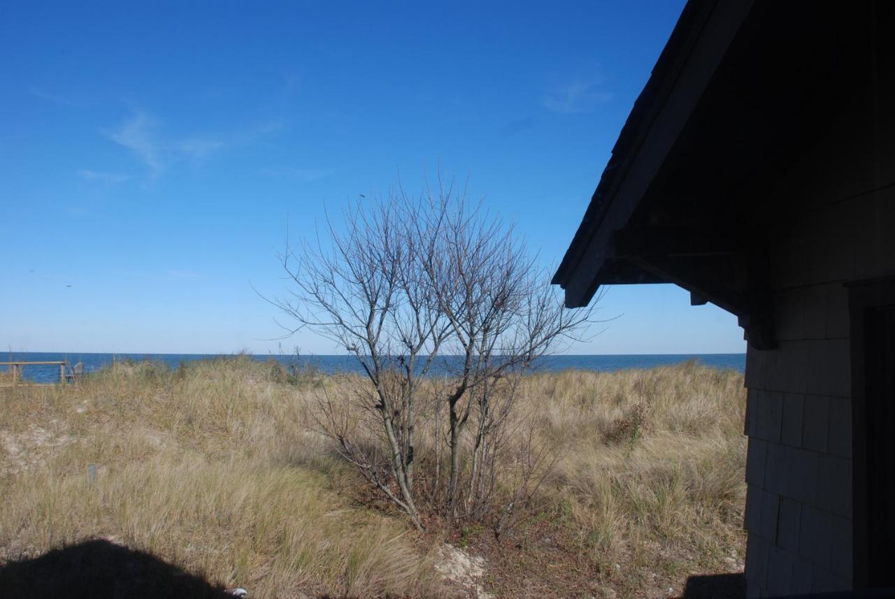 Rustic Rooftop Delight - Bay Front Apts Norfolk Zewnętrze zdjęcie
